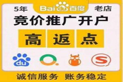 某行业SEM竞价专员的成功策略与经典案例